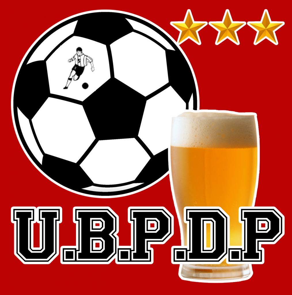 Logo UBPDP 2013 Stampa PNG